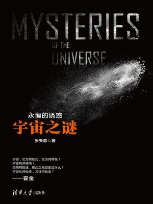 cover image of 永恒的诱惑：宇宙之谜